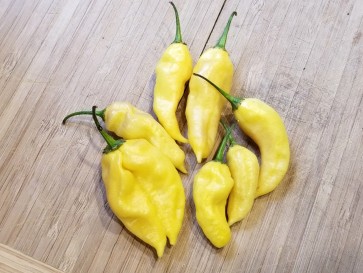 Hot Pepper ‘White Devil's Tongue’ Seeds (Certified Organic)