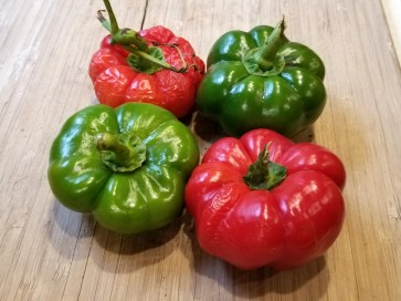 Sweet Pepper 'Liebesapfel' aka 'Love Apple' Seeds (Certified Organic)