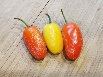 Hot Pepper 'Jaloro Golden Jalapeno'