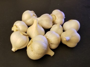 Certified Organic Norquay Culinary Garlic Harvested on our Farm - 4 oz. Bag