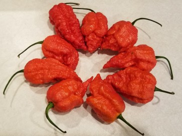 Hot Pepper ‘Peach Carolina Reaper Cross’ Seeds (Certified Organic)