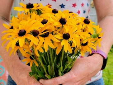 Wild Black-Eyed Susan Bouquet