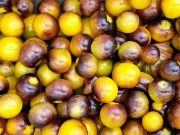 Tomato 'Gold Berries'