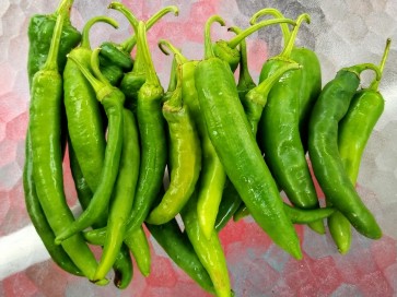 Hot Pepper 'Guajillo' Seeds (Certified Organic)