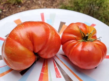 Tomato 'Strawberry Leopard' Seeds (Certified Organic)