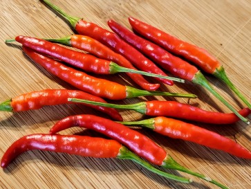 Hot Pepper 'Rooster Spur'