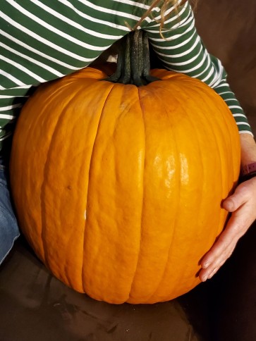 Pumpkin 'Wolf' Seeds (Certified Organic)