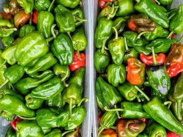 Mild Pepper 'Padron'