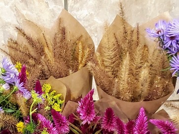 Ornamental Foxtail Grass Bouquet