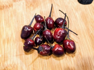 Hot Ornamental Pepper ‘Peruvian Purple’ Seeds (Certified Organic)