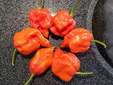 Hot Pepper ‘Naga Death’ Seeds (Certified Organic)