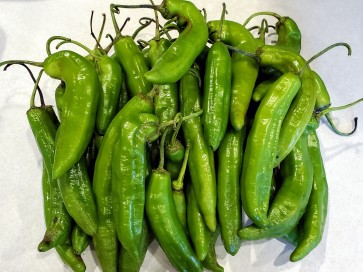 Hot Pepper ‘Aji Amarillo’ Seeds (Certified Organic)