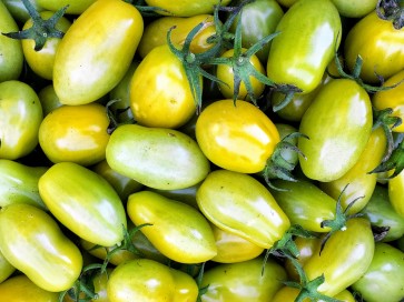 Tomato 'Green Plum' AKA 'Prune Verte' Seeds (Certified Organic)