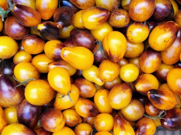 Tomato 'Indigo Pear Drops' Seeds (Certified Organic)