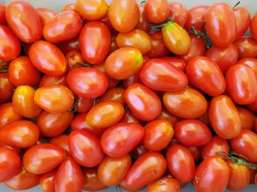 Tomato 'Teardrop Red Grape' 