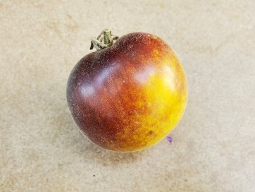 Tomato 'Wooly Kate'