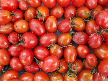 Tomato 'Jelly Bean' Seeds (Certified Organic)