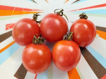 Tomato 'Pink Sprinkles' Seeds (Certified Organic)