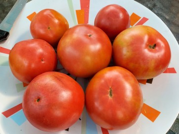 Tomato 'Goose Creek' Seeds (Certified Organic)
