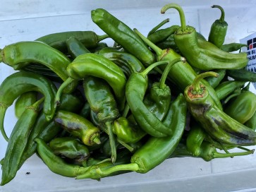 Mild Pepper 'Italian Pepperoncini' Seeds (Certified Organic)