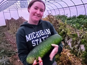 Mao Qua AKA Fuzzy Gourd 