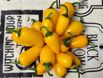 Hot Pepper 'NuMex Lemon Spice Jalapeno' Seeds (Certified Organic)