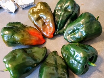 Hot Pepper 'Ancho Poblano' Seeds (Certified Organic)