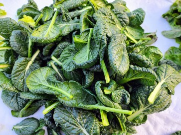 Chijimasai Seeds (Certified Organic)