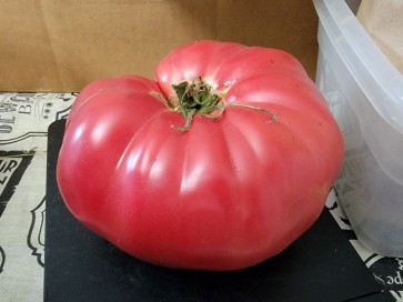 Tomato 'Russian Rose' Seeds (Certified Organic)