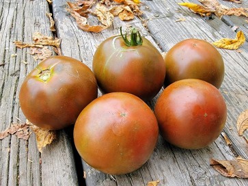 Tomato 'Brazilian Beauty' Seeds (Certified Organic)