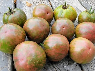 Tomato 'Kozula 24' Seeds (Certified Organic)