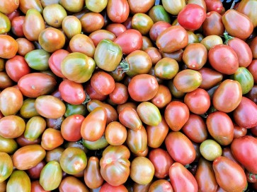 Tomato 'Black Mauri' Seeds (Certified Organic)