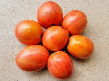 Tomato 'Don Juan' Seeds (Certified Organic)