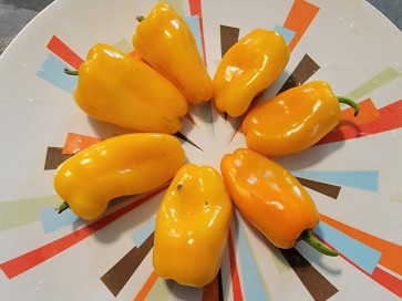 Sweet Pepper 'Lunch Box Yellow' Seeds (Certified Organic)