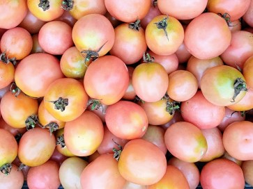 Tomato 'Pearly Pink' Seeds (Certified Organic)