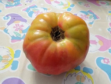 Tomato 'Three Fat Men' (Pink Variant) Seeds (Certified Organic)