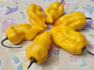 Hot Pepper 'Aji Lemon x Reaper' Seeds (Certified Organic)