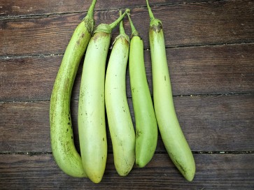Eggplant 'Thai Long Green’ Seeds (Certified Organic)