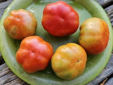 Tomato 'Super Marmande' Seeds (Certified Organic)