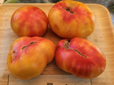 Tomato 'Eye of the Dingo' Seeds (Certified Organic)