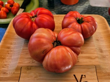 Dwarf Tomato 'Strawberry Lemonade' Seeds (Certified Organic)