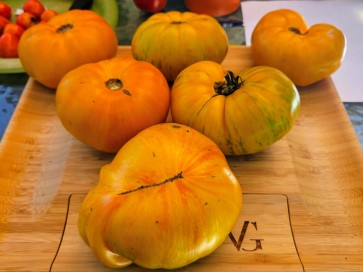 Tomato 'Plan 9 From Outer Space' Seeds (Certified Organic)