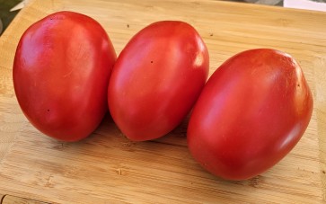 Tomato 'State Fair Beefy Pastes' Seeds (Certified Organic)