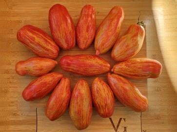 Tomato 'Yellow Tulip' Seeds (Certified Organic)