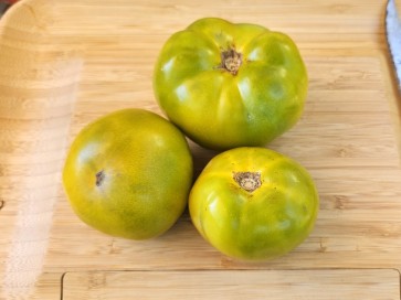 Dwarf Tomato 'Shamrock' Seeds (Certified Organic)