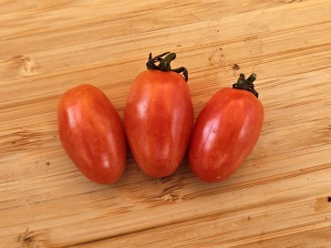 Tomato 'Mini Red Oval TR' Seeds (Certified Organic) 