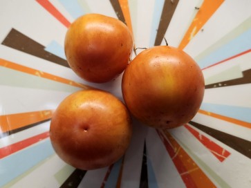 Tomato 'Red Zebra Cherry' Seeds (Certified Organic)