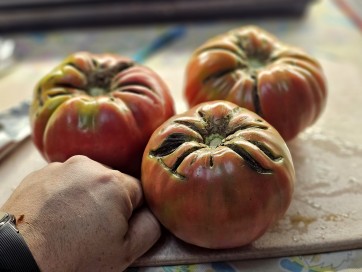 Tomato 'Flathead Monster Pink' Seeds (Certified Organic)