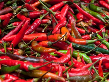 Hot Pepper ‘Red Thai’ Seeds (Certified Organic)