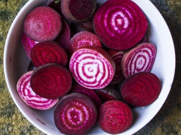 Giant Ornamental Beet 'Bull's Blood'